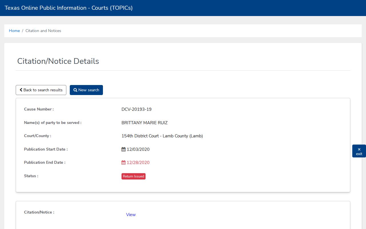 Lamb County case lookup public citation notice detail fields
