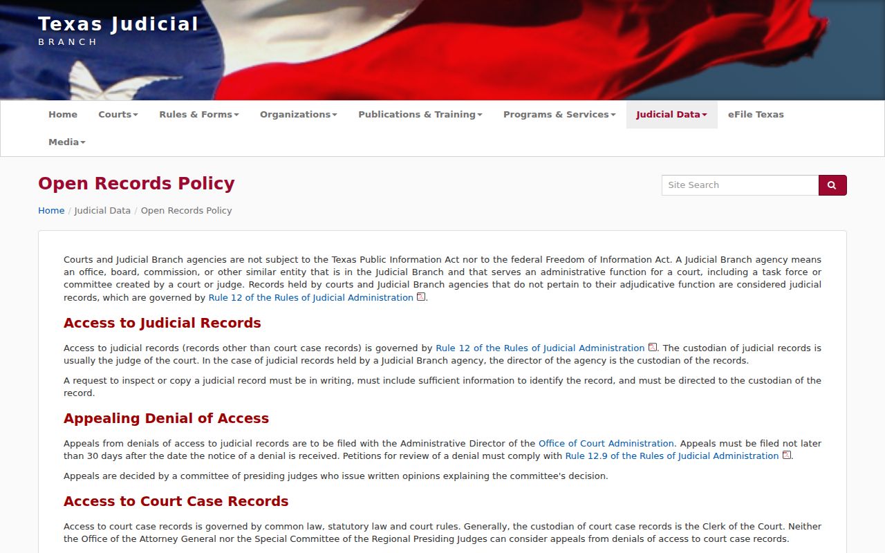 Lamb County court record search judicial access policy